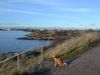 Suomenlinna